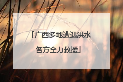 广西多地遭遇洪水 各方全力救援