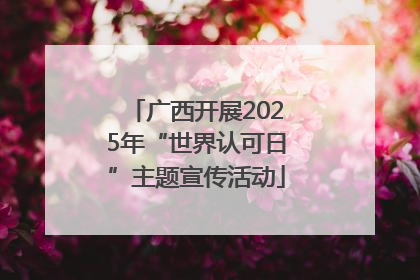 广西开展2025年“世界认可日”主题宣传活动