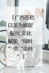 广西苍梧以茶为媒促振兴 文化赋能“绿叶”变“金叶”