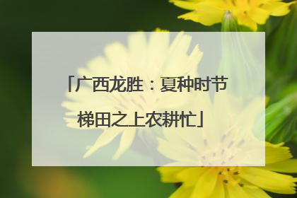 广西龙胜：夏种时节 梯田之上农耕忙