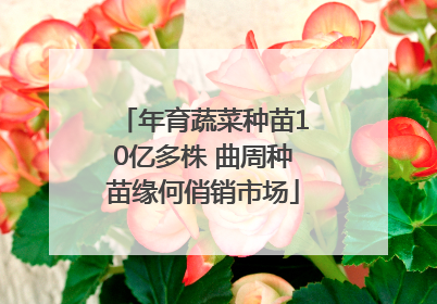 年育蔬菜种苗10亿多株 曲周种苗缘何俏销市场