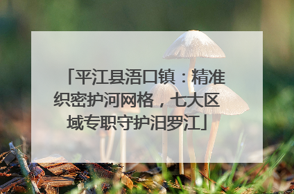 平江县浯口镇：精准织密护河网格，七大区域专职守护汨罗江