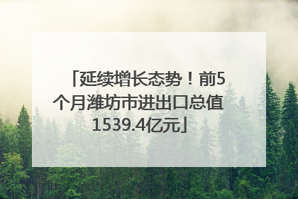 延续增长态势！前5个月潍坊市进出口总值1539.4亿元