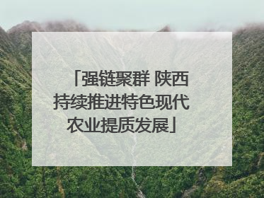强链聚群 陕西持续推进特色现代农业提质发展