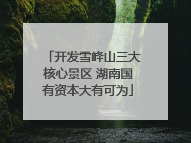 开发雪峰山三大核心景区 湖南国有资本大有可为