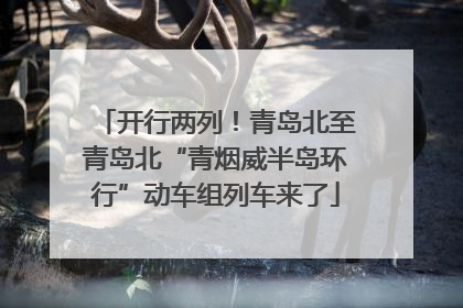 开行两列！青岛北至青岛北“青烟威半岛环行”动车组列车来了