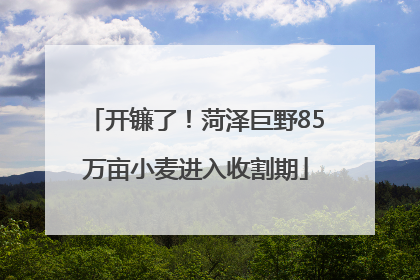 开镰了！菏泽巨野85万亩小麦进入收割期