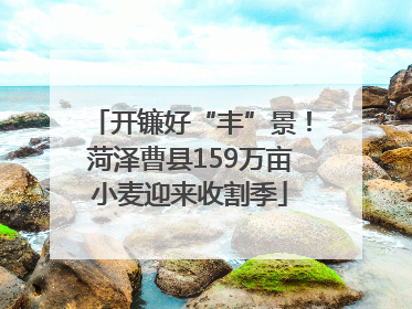 开镰好“丰”景！菏泽曹县159万亩小麦迎来收割季