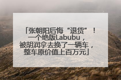 张朝阳后悔“退货”！一个绝版Labubu，被胡润拿去换了一辆车，整车原价值上百万元
