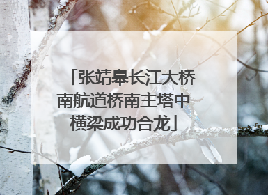 张靖皋长江大桥南航道桥南主塔中横梁成功合龙
