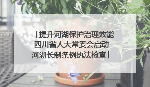 提升河湖保护治理效能 四川省人大常委会启动河湖长制条例执法检查