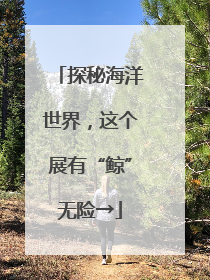 探秘海洋世界，这个展有“鲸”无险→