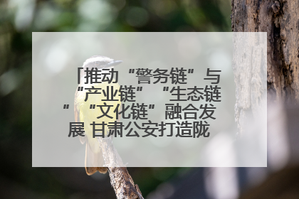 推动“警务链”与“产业链”“生态链”“文化链”融合发展 甘肃公安打造陇原旅游警务品牌