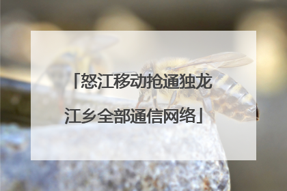 怒江移动抢通独龙江乡全部通信网络