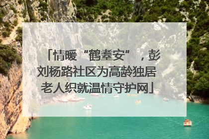 情暖“鹤耋安”，彭刘杨路社区为高龄独居老人织就温情守护网