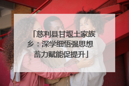 慈利县甘堰土家族乡：深学细悟强思想 蓄力赋能促提升