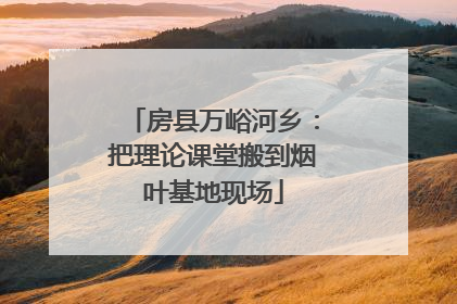 房县万峪河乡：把理论课堂搬到烟叶基地现场