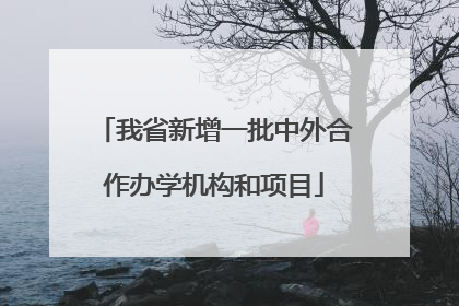 我省新增一批中外合作办学机构和项目