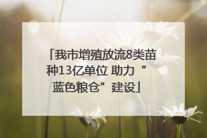我市增殖放流8类苗种13亿单位 助力“蓝色粮仓”建设