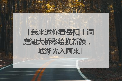 我来邀你看岳阳丨洞庭湖大桥彩绘换新颜，一城湖光入画来