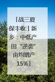 战三夏 保丰收丨新乡：中低产田“逆袭” 亩均增产15%