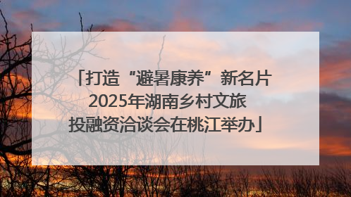 打造“避暑康养”新名片 2025年湖南乡村文旅投融资洽谈会在桃江举办