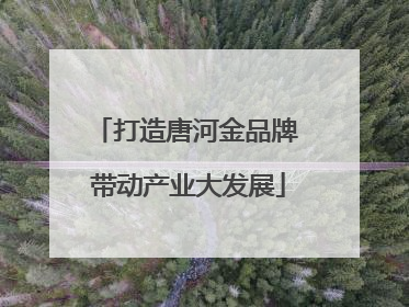 打造唐河金品牌 带动产业大发展