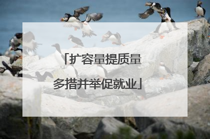 扩容量提质量 多措并举促就业