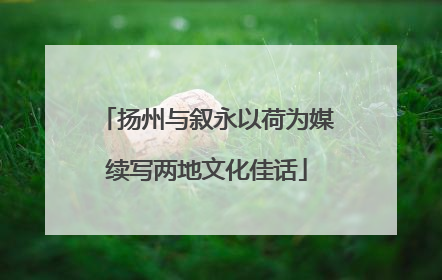 扬州与叙永以荷为媒续写两地文化佳话