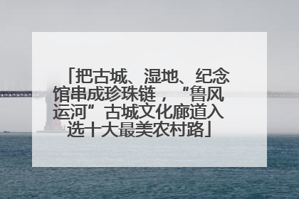 把古城、湿地、纪念馆串成珍珠链，“鲁风运河”古城文化廊道入选十大最美农村路