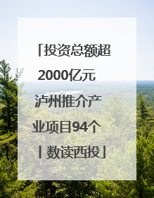 投资总额超2000亿元 泸州推介产业项目94个丨数读西投