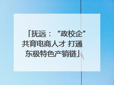 抚远：“政校企”共育电商人才 打通东极特色产销链