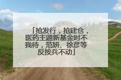 抢发行，抢建仓，医药主题新基金时不我待，范妍、徐彦等反按兵不动