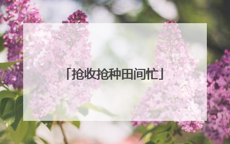 抢收抢种田间忙