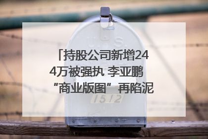 持股公司新增244万被强执 李亚鹏“商业版图”再陷泥潭？｜科技观察