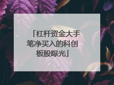 杠杆资金大手笔净买入的科创板股曝光