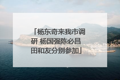 杨东奇来我市调研 杨国强陈必昌田和友分别参加