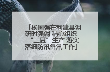杨国强在利津县调研时强调 精心组织“三夏”生产 落实落细防汛备汛工作