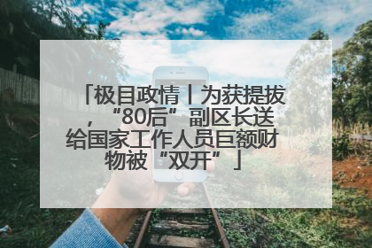 极目政情丨为获提拔，“80后”副区长送给国家工作人员巨额财物被“双开”