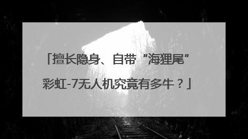 擅长隐身、自带“海狸尾” 彩虹-7无人机究竟有多牛？