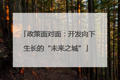政策面对面：开发向下生长的“未来之城”