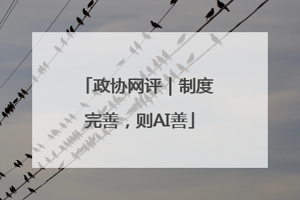 政协网评｜制度完善，则AI善