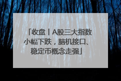 收盘丨A股三大指数小幅下跌，脑机接口、稳定币概念走强