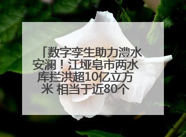 数字孪生助力澧水安澜！江垭皂市两水库拦洪超10亿立方米 相当于近80个西湖水量