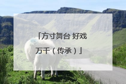 方寸舞台 好戏万千（传承）