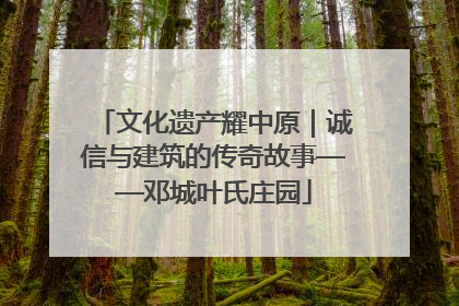 文化遗产耀中原｜诚信与建筑的传奇故事——邓城叶氏庄园