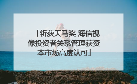斩获天马奖 海信视像投资者关系管理获资本市场高度认可