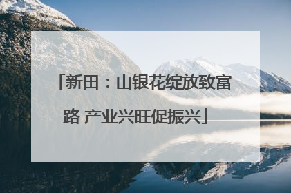 新田：山银花绽放致富路 产业兴旺促振兴