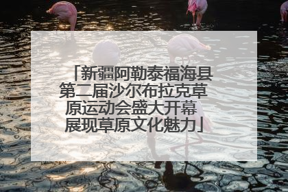 新疆阿勒泰福海县第二届沙尔布拉克草原运动会盛大开幕 展现草原文化魅力