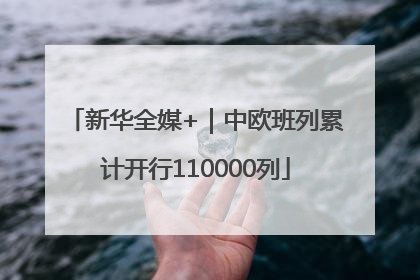 新华全媒+｜中欧班列累计开行110000列
